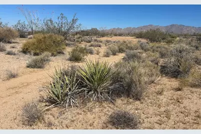 259 Apache, Yucca, AZ 86438 - Photo 10