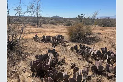 280 S Arapaho, Yucca, AZ 86438 - Photo 30