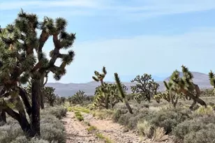 5 Shore Ave, Meadview, AZ 86444 - Photo 1