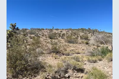 21257 N Oro Drive, White Hills, AZ 86445 - Photo 4