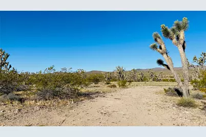 Lot 167 Mt Loco Drive, Dolan Springs, AZ 86441 - Photo 14