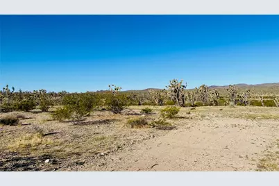 Lot 167 Mt Loco Drive, Dolan Springs, AZ 86441 - Photo 16