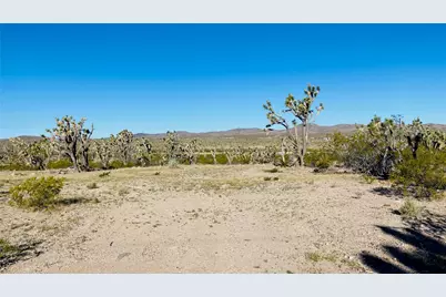 Lot 167 Mt Loco Drive, Dolan Springs, AZ 86441 - Photo 12