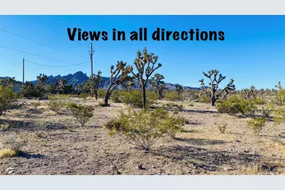 Lot 167 Mt Loco Drive, Dolan Springs, AZ 86441 - Photo 1