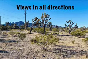 Lot 167 Mt Loco Dr, Dolan Springs, AZ 86441 - Photo 1