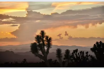 8651 W Kristin Drive, White Hills, AZ 86445 - Photo 4