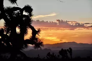 8651 W Kristin Dr, White Hills, AZ 86445 - Photo 92