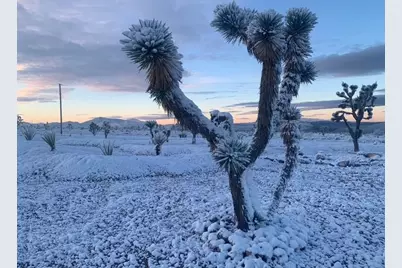 8651 W Kristin Drive, White Hills, AZ 86445 - Photo 96