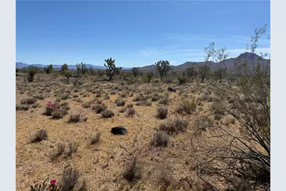 Lot 26 Niles Drive, Dolan Springs, AZ 86441 - Photo 16