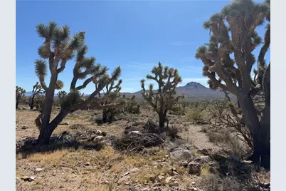 Lot 26 Niles Drive, Dolan Springs, AZ 86441 - Photo 6