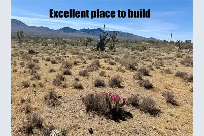 Lot 26 Niles Drive, Dolan Springs, AZ 86441 - Photo 4