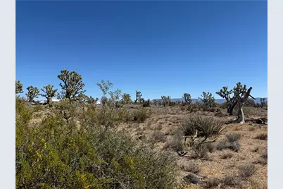 Lot 26 Niles Drive, Dolan Springs, AZ 86441 - Photo 14