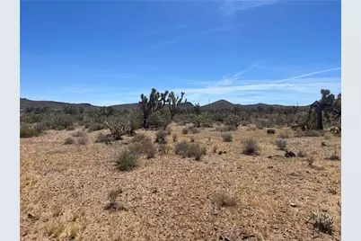327-02-199 Stallion Drive, Dolan Springs, AZ 86441 - Photo 2
