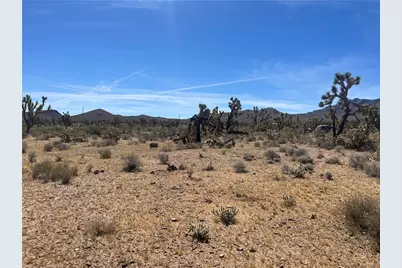 Lot 7 Stallion Drive, Dolan Springs, AZ 86441 - Photo 4