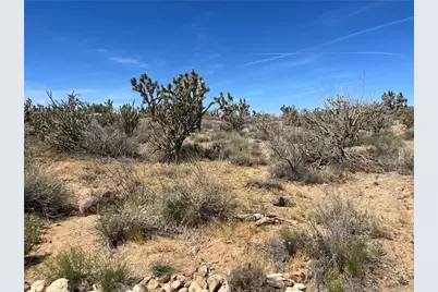 327-02-199 Stallion Drive, Dolan Springs, AZ 86441 - Photo 12