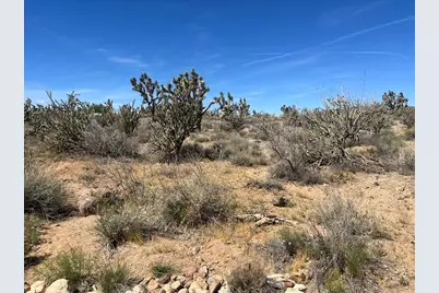 Lot 7 Stallion Drive, Dolan Springs, AZ 86441 - Photo 14