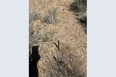 Lot 7 Stallion Drive, Dolan Springs, AZ 86441 - Photo 20