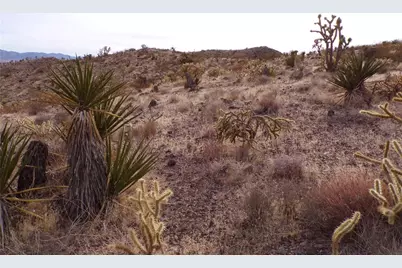 Lot 72 W 20th Street, Dolan Springs, AZ 86441 - Photo 10