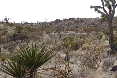 Lot 72 W 20th Street, Dolan Springs, AZ 86441 - Photo 4