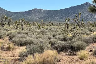 0 Lake Mead City Unit N 29-29-16 Lot 410, Meadview, AZ 86444 - Photo 1