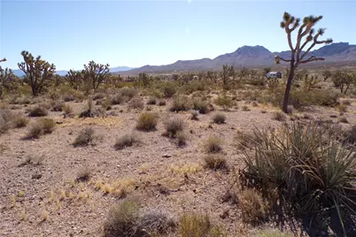 18048 N Lost Mine Drive, Dolan Springs, AZ 86441 - Photo 18