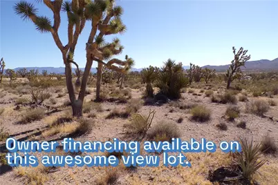 18048 N Lost Mine Drive, Dolan Springs, AZ 86441 - Photo 1