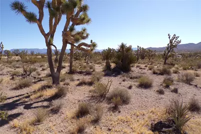 18048 N Lost Mine Drive, Dolan Springs, AZ 86441 - Photo 8