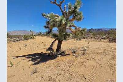 Lot 190 S Mary Place, Yucca, AZ 86438 - Photo 6