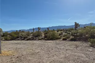 540 W Havasu Ln, Meadview, AZ 86444 - Photo 50