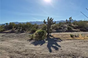 540 W Havasu Ln, Meadview, AZ 86444 - Photo 44