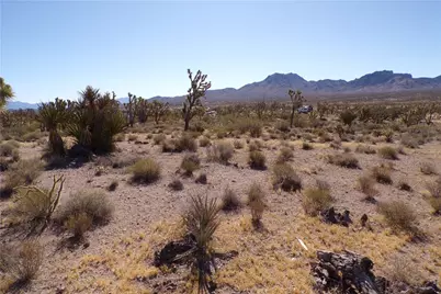 8933 Accra Drive, Chloride, AZ 86431 - Photo 4