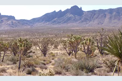 8933 Accra Drive, Chloride, AZ 86431 - Photo 16