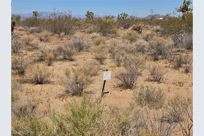 244-09-196 E Bush Road, Yucca, AZ 86438 - Photo 2