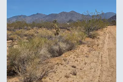 Lot 196 E Bush Road, Yucca, AZ 86438 - Photo 4