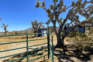 17192 N Merry Dr, Dolan Springs, AZ 86441 - Photo 2