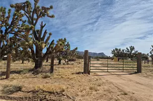 26182 N Pear Ave, Meadview, AZ 86444 - Photo 1