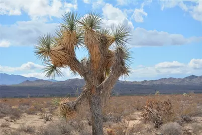 207-35-005 S Arlington Road, Yucca, AZ 86438 - Photo 34