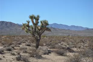 207-35-005 S Arlington Rd, Yucca, AZ 86438 - Photo 1