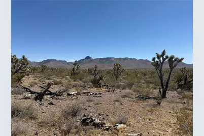 319-08-425 Kingman Drive, Dolan Springs, AZ 86441 - Photo 6