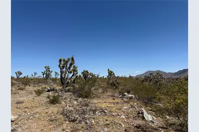 319-08-425 Kingman Drive, Dolan Springs, AZ 86441 - Photo 8