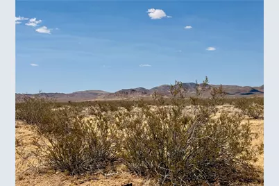 316-11-131 Bullhead Road, Dolan Springs, AZ 86441 - Photo 8