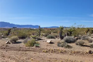 510 E Kolb Dr, Meadview, AZ 86444 - Photo 1