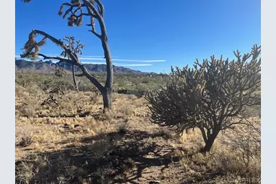 00 20th Street, Dolan Springs, AZ 86441 - Photo 14