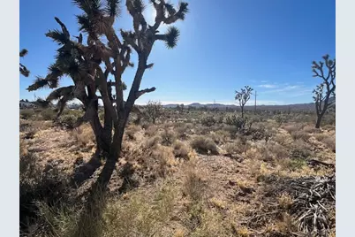 00 20th Street, Dolan Springs, AZ 86441 - Photo 10