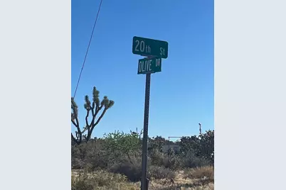 00 20th Street, Dolan Springs, AZ 86441 - Photo 24