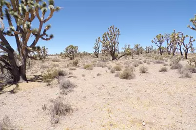 327-05-338 N Lost Mine, Dolan Springs, AZ 86441 - Photo 10