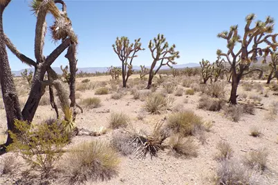 327-05-338 N Lost Mine, Dolan Springs, AZ 86441 - Photo 18