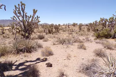 327-05-338 N Lost Mine, Dolan Springs, AZ 86441 - Photo 24