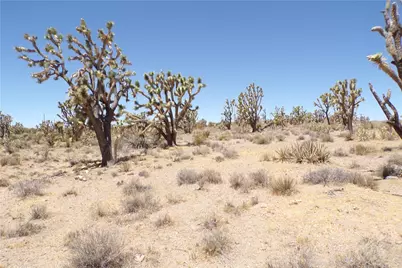 327-05-338 N Lost Mine, Dolan Springs, AZ 86441 - Photo 8