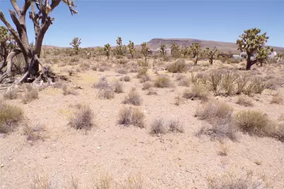 327-05-338 N Lost Mine, Dolan Springs, AZ 86441 - Photo 20